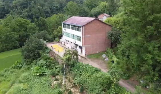 《服务的力量》-蜜汁噜噜久久噜噜久久久农机收割机微视频