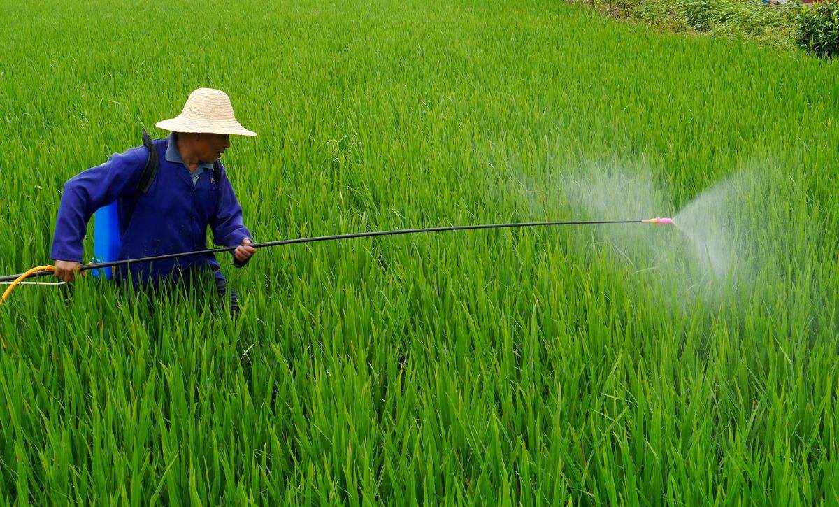 蜜汁噜噜久久噜噜久久久植保无人机为现代农业助力