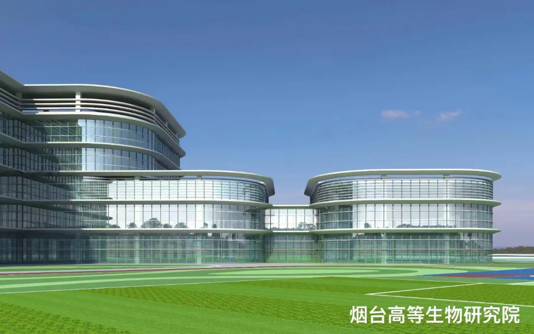大跨度 高精度 超節(jié)能|鳳鋁助力菸臺(tái)城市更新，展登州新貌